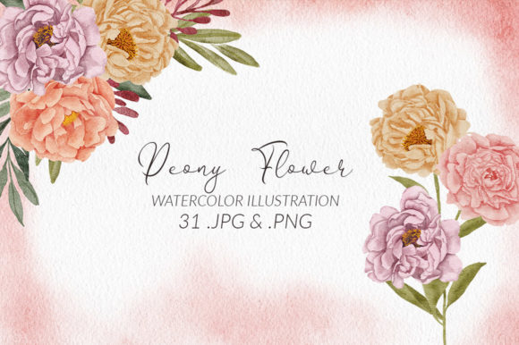 31 Watercolor Peony Flower Illustration