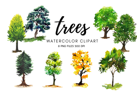 Beautiful Watercolor Trees Clipart and Illustrations