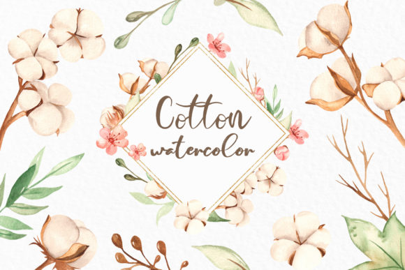 Cotton Watercolor Collection and Illustrations