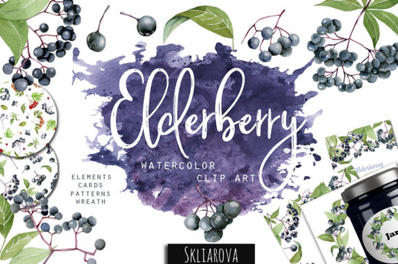 Elderberry Clipart Review