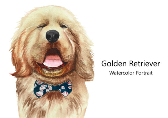 Golden Retriever Watercolor Portrait Illustrations