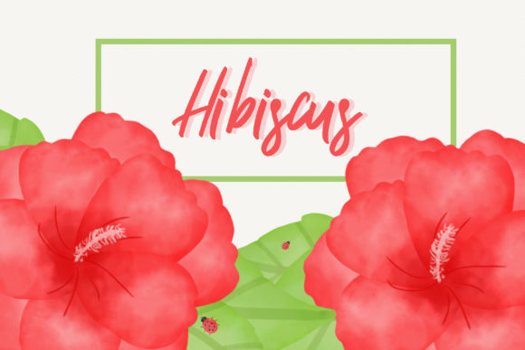 Hibiscus Ladybug Watercolor Clipart and Illustrations