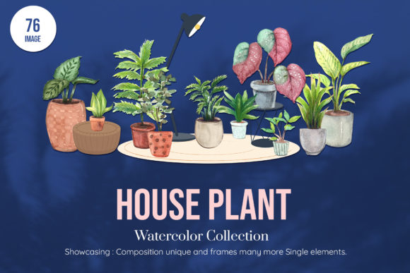 House Plants Watercolor Set for Illustrations