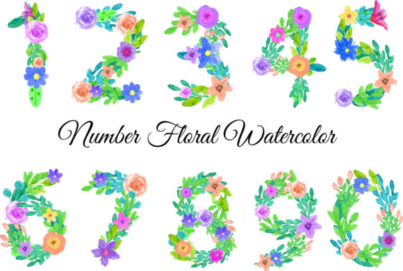 Number Floral Watercolor Illustrations
