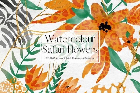 Orange Safari Orange Watercolour Flowers Illustrations