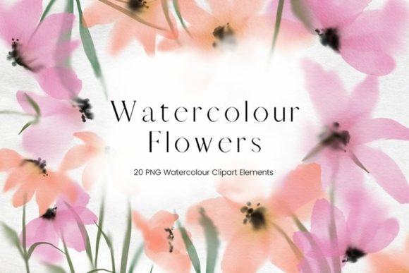 Pink and Orange Watercolour Flowers Illustrations
