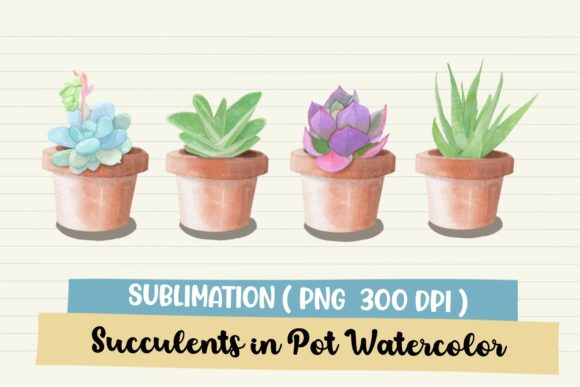 Succulents Watercolor Clipart PNG & Illustrations
