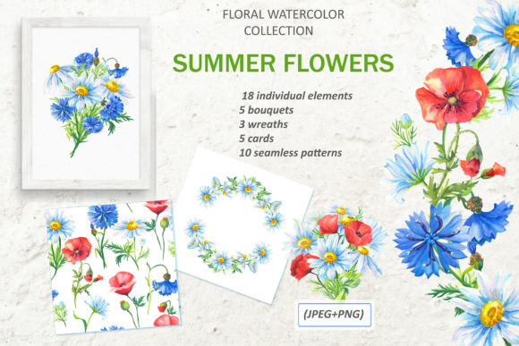 SUMMER FLOWERS. WATERCOLOR. Illustrations