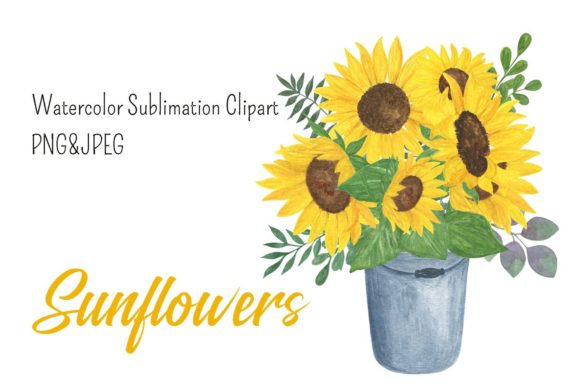 Sunflower Sublimation Watercolor Clipart and Illustrations