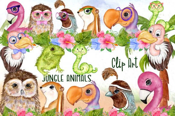 Tropical Birds Cute Safari Animals Illustrations