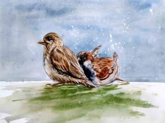 Watercolor Beautiful Hand Drawn Birds and Illustrations