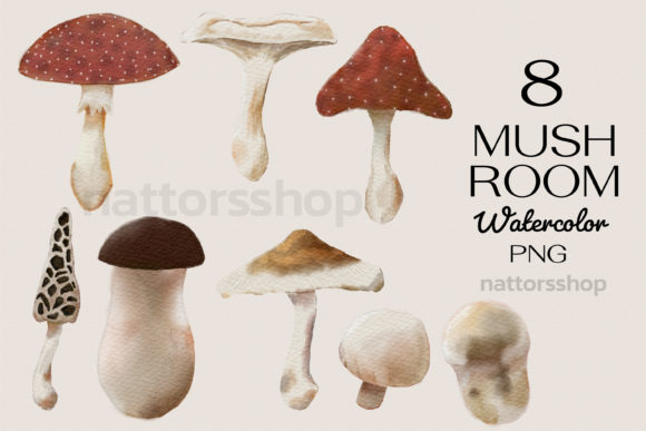 Watercolor Clipart of Mushroom Illustrations