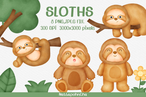 Watercolor Cute Sloth Png Clipart and Illustrations
