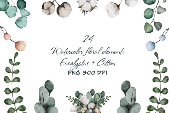 Watercolor Eucalyptus and Cotton Rustic Illustrations