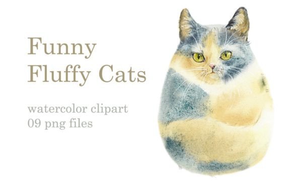 Watercolor Funny Cats and Illustrations
