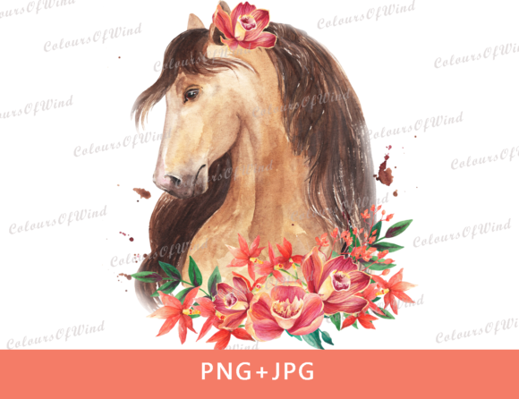 Watercolor Horse Head with Flowers PNG and Illustrations