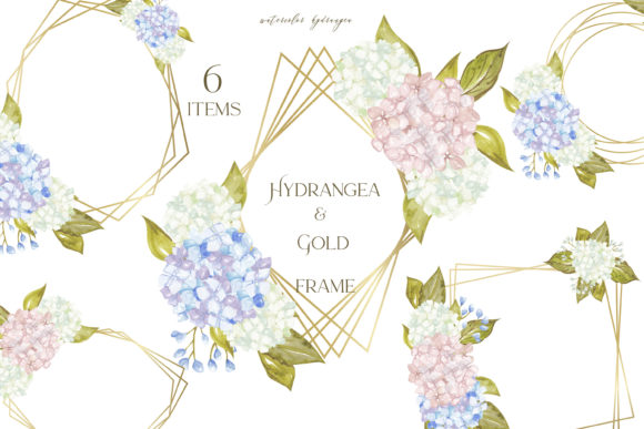 Watercolor Hydrangea and Gold Frame Illustrations