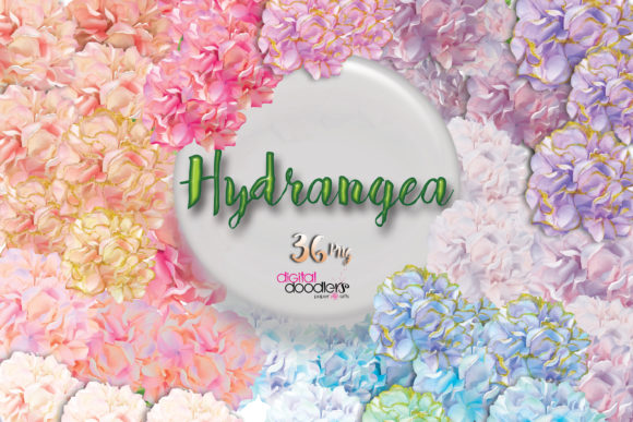 Watercolor Hydrangea Floral Bundle & Illustrations