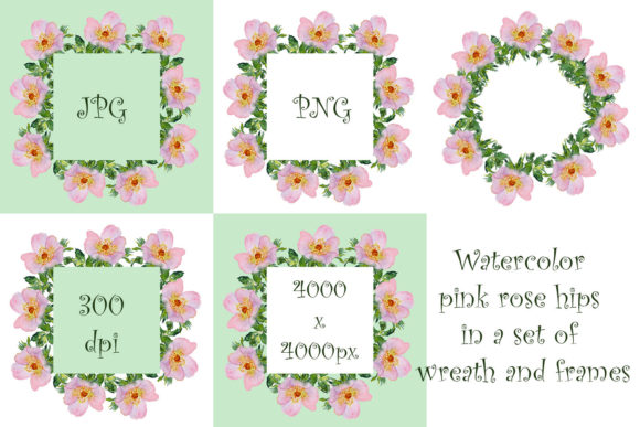 Watercolor Pink Dogrose Wreath and Frame Illustrations