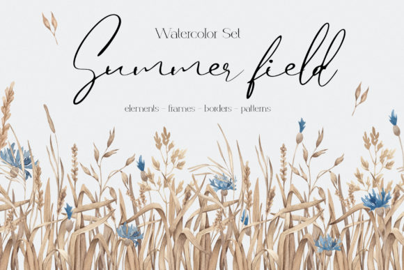 Watercolor Set Summer Field Illustrations