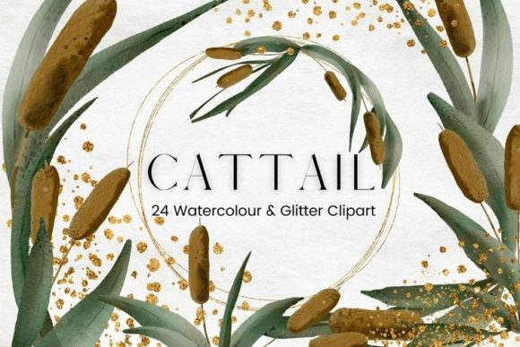 Watercolour Cattail and Gold Frames Illustrations